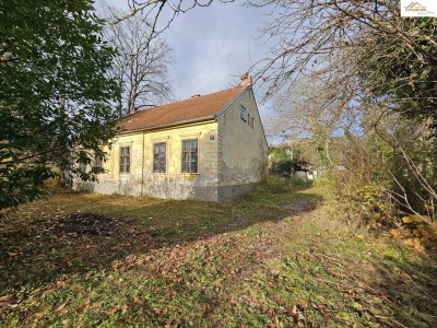 Traumhafte Liegenschaft in Pitten – Großzügiges Bauland mit charmantem Altbestand