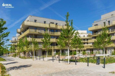 Hirschfeld - Ihr neues Zuhause im Grünen - besichtigen und einziehen