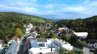 WOHNEN AM TOR ZUR NATUR – UND DOCH GANZ NAH AN WIEN - EXKLUSIVES TOWNHAUS AUF EIGENGRUND IN WEIDLING