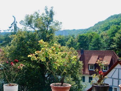 Weitblick  4 Raum Dachgeschoßwohnung Südloggia in historischem Ambiente Eppstein Vockenhausen