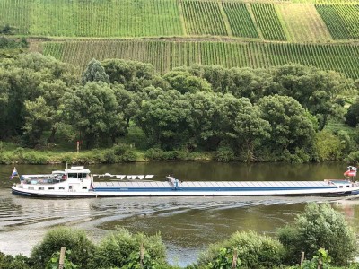 Helle 4-Zimmer in Reil mit Moselblick und Freisitz ab 01.04.2026 frei