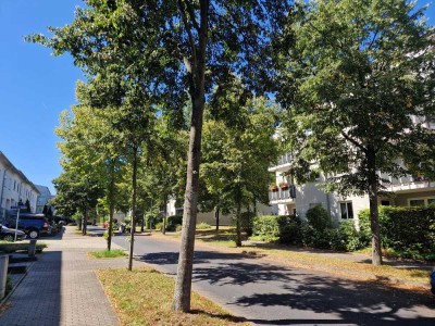 Erstbezug mit Balkon: freundliche 3-Zimmer-EG-Wohnung in Joseph-Keilberth-Straße, Dresden
