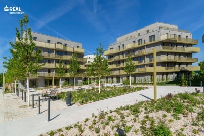 Hirschfeld - Ihr neues Zuhause im Grünen - anfragen, besichtigen, einziehen - 41 bis 96 m²