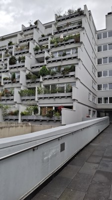 Große, charmante, wunderschöne Wohnung