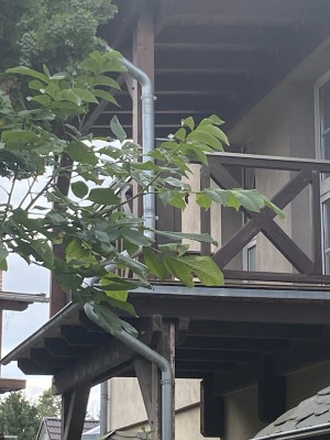 Landleben genießen-ihre Wohnung wartet