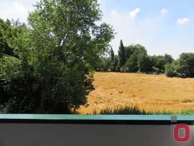 Ideales Single-Appartement direkt am Feldrand - Frei ab 01.01.2026