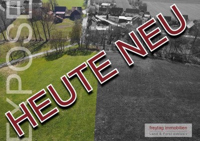 4,6 ha Bauernhof zwischen Harz und Weser