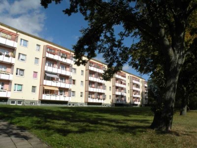 Für die junge Familie ! Erstbezug nach Wohnungsmodernisierung