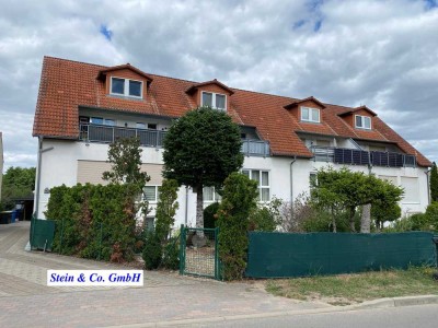04.11. Besichtigung- Mietergarten und frisch renovierte Wohnung suchen neue Bewohner