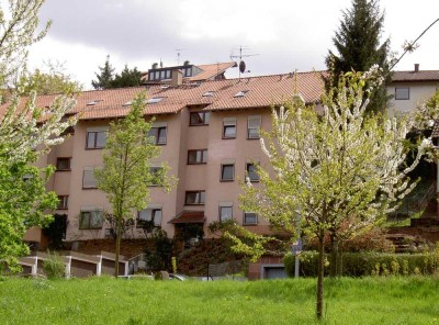 Schöne 2-Zimmer-Wohnung mit Balkon und EBK in Pf. direkt am Enzauenpark