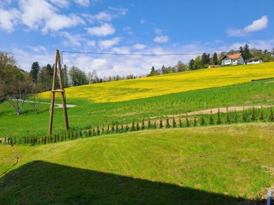 Hochwertige Doppelhaushälfte mit Keller und Doppelcarport auf 648 m² Grundstück und vielen Extras !!!