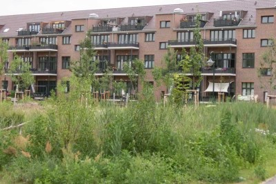 Neuwertige, helle 4-Raum-Loft-Whg. mit gr. Balkon, ruhige Lage am Stadtpark Bernau