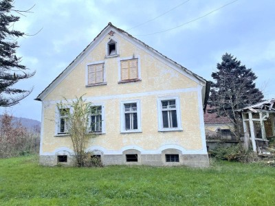 Fehring- Brunn, Herrenhaus, hohen Sanierungsbedarf, Bach, Teich , Bauernhaus, Grund ca. 27.335 m², Mühle