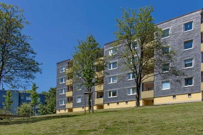 Sanierte Wohnung mit tollem Weitblick