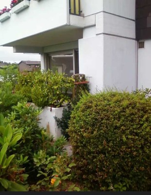 Freundliche 2,5-Zimmer-Erdgeschoss-Wohnung mit Balkon in Essen Kettwig