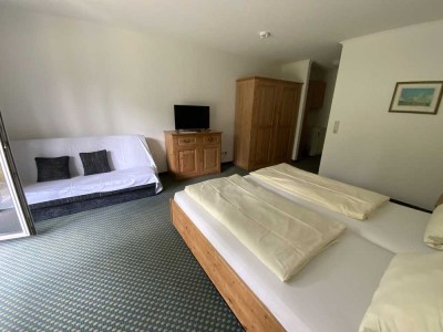APPARTEMENT - VIECHTACH - SPORTHOTEL ZUM PFAHL