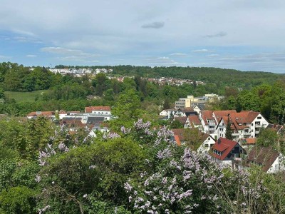 Stilvolle, vollst. renovierte 4-Zimmer-Wohnung mit geh. Innenausstattung mit Terrasse und EBK