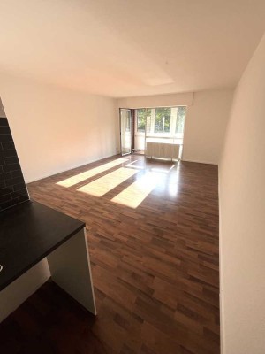 Große 1-Zimmer Wohnung mit EBK und Loggia an der Hammer Straße