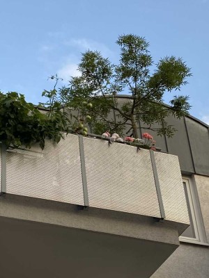 Helle 31/2 Zimmer DG- Maisonette mit großem Balkon, EBK und TG- Stellplatz