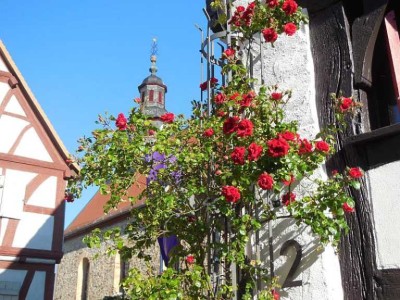 Voll-Möblierte 3/4-Zimmer-Wohnung mit Balkon in Friedrichsdorf/Hessen