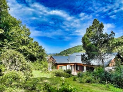 Das Haus mit Wald – wie im Märchen!