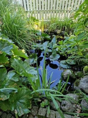 Herrliche Wohnqualität eingebettet in ganz wunderbarem Garten