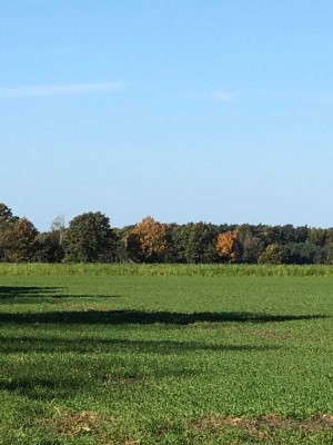 Tolle Familienwohnung mit großem Garten in Feldrandlage