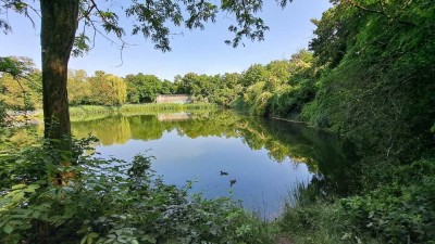 Viel Platz für die ganze Familie