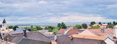 SEEBLICK - LOFT - TERRASSE - POOL. NEUSIEDLER SEE.