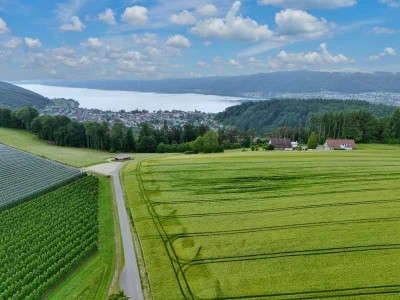 Seltenes Hofensemble in exponierter Lage