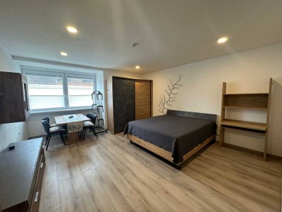 Stilvolle möblierte 1-Zimmer-EG-Wohnung Nähe Eishockey Stadion