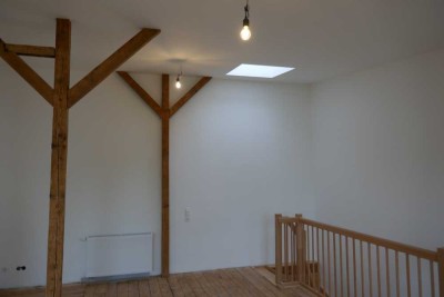 renovierte Altbau-Terrassenwohnung, Lage nah zur Fußgängerzone Hilden