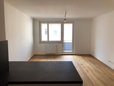 Moderne 1-Zimmer Wohnung mit Balkon in Top-Lage in Döbling