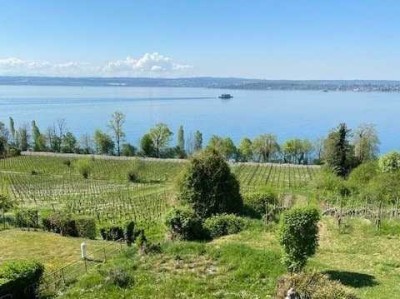 unverbaubare 180° Seesicht - ruhige Höhenlage
großzügige 2,5 Zimmer Eigentumswohnung