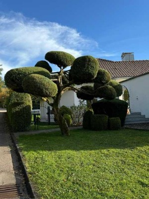 Villa in Bestlage - ebenerdiges Wohnen & Souterrainwohnung, nicht einsehbares Parkgrundstück