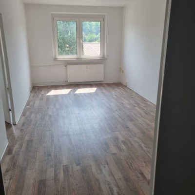 Gemütliche 2-Zimmer-Wohnung in Feldberg