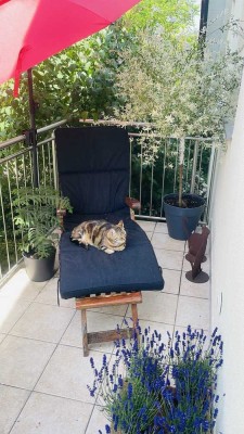 3-Zimmer-Maisonette-Wohnung mit Balkon in Altenmünster