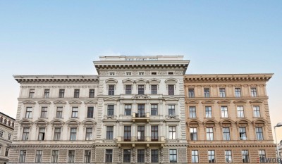 ALTBAUWOHNUNG IN ELEGANTEM HAUS / Blick auf Volkstheater und MQ / Sanierungsbedürftig