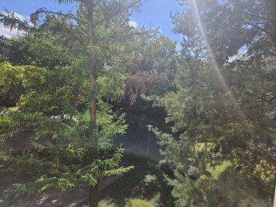 Investoren oder Eigennutzer! Helle 3 Zimmer Wohnung mit Grünblick und sehr guter Anbindung