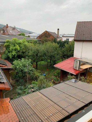 Zentrale, neu renovierte 2,5-Zimmer-Wohnung mit Garage und Garten in Mosbach