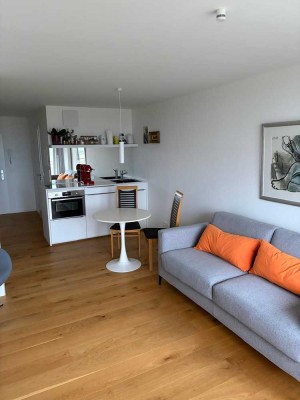 Möbiliertes Appartement Bad Wimpfen