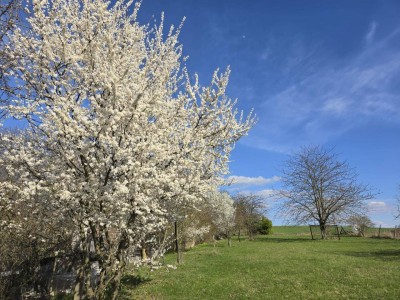 + Charmantes und helles Landhaus in wundervoller Lage+ Sonniger Garten 1.620 m² + 6 Zimmern und 2 Zufahrten++