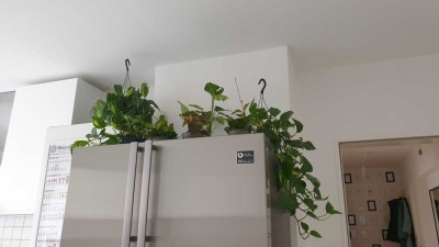 Schöne, voll möblierte Wohnung, Augsburger Innenstadtlage am Lech