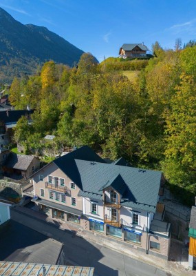 Ihr Feriendomizil - Neue 3 Zimmer Wohnung im Herzen von Bad Aussee / Top 3