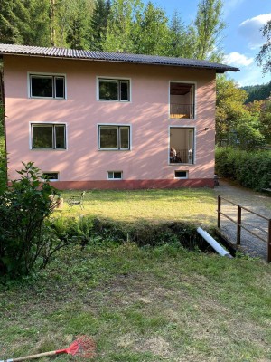 Günstiges und gepflegtes 6-Zimmer-Mehrfamilienhaus zum Kauf in Edlitz/Preis reduziert!