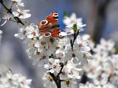 Leere 3-Zimmer-Wohnung wartet auf Renovierung und Einzug im Frühling!!!