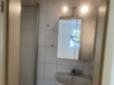 Geschmackvolle 1-Raum-Souterrain-Wohnung mit gehobener Innenausstattung in Waldbronn