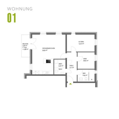 NEUBAU Trier-Olewig - Effizienzhaus 55 - Wohnung 01