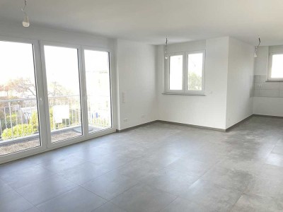 Erstbezug:  große, helle 4,5 Zimmer-Neubau-Wohnung in Hofen/Bönnigheim