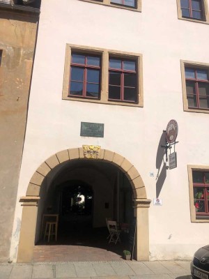 App 11 vollständig möbiliertes 1Raum Appartement mit moderner Küche in Altstadt zu vermieten